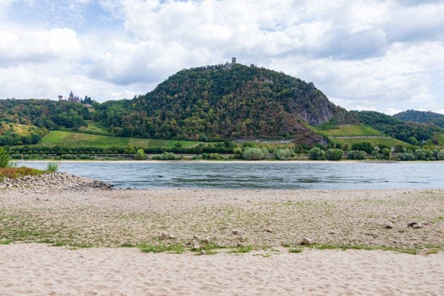 Historisches Niedrigwasser: Pegel Oberwinter fällt auf 1 cm Blick von Bonn-Mehlem auf den Drachenfels (Mitte) und Drachenburg (links) und der Große Oelberg (rechts) im Siebengebirge: Im Vordergrund liegt das weitgehend ausgetrocknete Flussbett des Rheins bei historischem Niedrigwasser der Pegel Oberwinter fällt auf nur noch 1 cm, der Pegel Bonn liegt bei 76 cm. Anhaltende Trockenheit lässt den Rhein weiter sinken, die Rheinschifffahrt ist stark eingeschränkt. Bonn Mehlem Nordrhein-Westfalen Deutschland Copyright: xMarcxJohnx