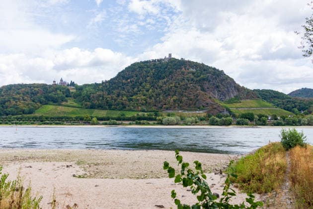Historisches Niedrigwasser: Pegel Oberwinter fällt auf 1 cm Blick von Bonn-Mehlem auf den Drachenfels (Mitte) und Drachenburg (links) und der Große Oelberg (rechts) im Siebengebirge: Im Vordergrund liegt das weitgehend ausgetrocknete Flussbett des Rheins bei historischem Niedrigwasser der Pegel Oberwinter fällt auf nur noch 1 cm, der Pegel Bonn liegt bei 76 cm. Anhaltende Trockenheit lässt den Rhein weiter sinken, die Rheinschifffahrt ist stark eingeschränkt. Bonn Mehlem Nordrhein-Westfalen Deutschland Copyright: xMarcxJohnx