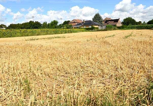 Drought in Flemish Brabant FLEMISH BRABANT, BELGIUM - AUGUST 06 : Drought in Flemish Brabant on August 6, 2026 in Flemish Brabant, Belgium, 06 08 2026 Flemish Brabant Belgium  Copyright: xDidierxLebrunx