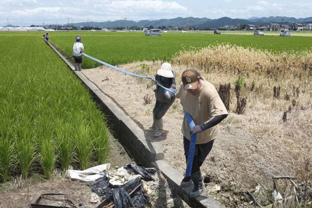 Aftermath of strong earthquake in Kumamoto Farmers work to irrigate rice paddies by drawing river water in Yatsushiro, Kumamoto Prefecture, on Aug. 6, 2026, after canals were damaged by a powerful earthquake that struck the southwestern Japan prefecture on July 28.  A14AA0005625283P