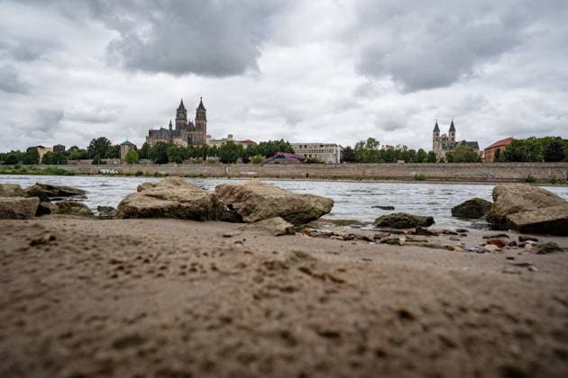 Deutlich niedriger Wasserstand in der Elbe im August 2026 - mit Magdeburger Dom;Niedrigwasser der Elbe in Magdeburg im Sommer 2026, Magdeburg Sachsen-Anhalt Deutschland Elbufer