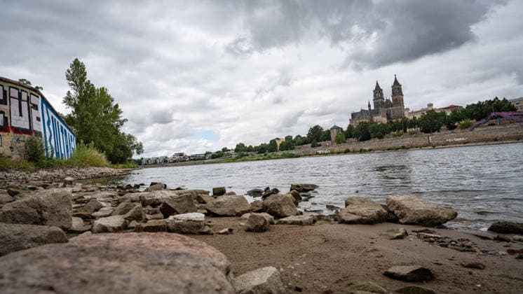 Deutlich niedriger Wasserstand in der Elbe im August 2026 - mit Magdeburger Dom;Niedrigwasser der Elbe in Magdeburg im Sommer 2026, Magdeburg Sachsen-Anhalt Deutschland Elbufer