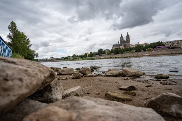 Deutlich niedriger Wasserstand in der Elbe im August 2026 - mit Magdeburger Dom;Niedrigwasser der Elbe in Magdeburg im Sommer 2026, Magdeburg Sachsen-Anhalt Deutschland Elbufer