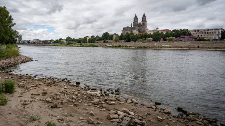 News Bilder des Tages Deutlich niedriger Wasserstand in der Elbe im August 2026 - mit Magdeburger Dom;Niedrigwasser der Elbe in Magdeburg im Sommer 2026, Magdeburg Sachsen-Anhalt Deutschland Elbufer