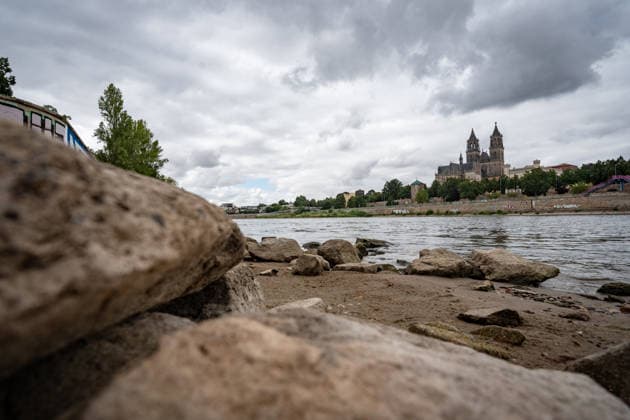 Deutlich niedriger Wasserstand in der Elbe im August 2026 - mit Magdeburger Dom;Niedrigwasser der Elbe in Magdeburg im Sommer 2026, Magdeburg Sachsen-Anhalt Deutschland Elbufer