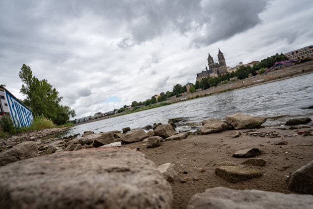 Deutlich niedriger Wasserstand in der Elbe im August 2026 - mit Magdeburger Dom;Niedrigwasser der Elbe in Magdeburg im Sommer 2026, Magdeburg Sachsen-Anhalt Deutschland Elbufer
