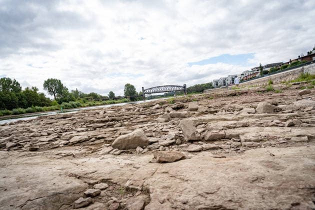 Deutlich niedriger Wasserstand in der Elbe im August 2026;Niedrigwasser der Elbe in Magdeburg im Sommer 2026, Magdeburg Sachsen-Anhalt Deutschland Elbufer