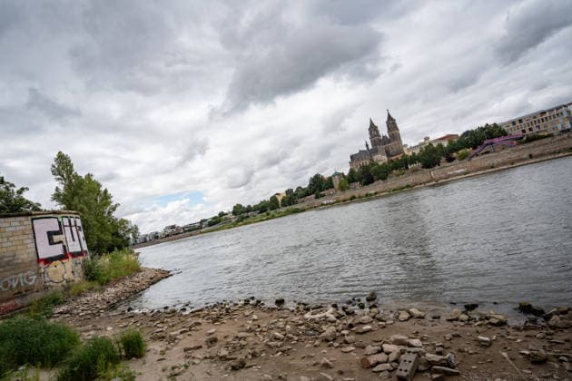 Deutlich niedriger Wasserstand in der Elbe im August 2026 - mit Magdeburger Dom;Niedrigwasser der Elbe in Magdeburg im Sommer 2026, Magdeburg Sachsen-Anhalt Deutschland Elbufer