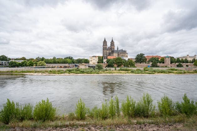 Deutlich niedriger Wasserstand in der Elbe im August 2026 - mit Magdeburger Dom;Niedrigwasser der Elbe in Magdeburg im Sommer 2026, Magdeburg Sachsen-Anhalt Deutschland Elbufer
