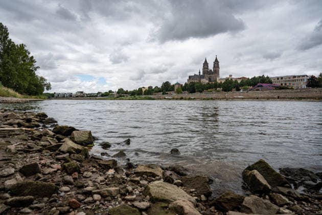 Deutlich niedriger Wasserstand in der Elbe im August 2026 - mit Magdeburger Dom;Niedrigwasser der Elbe in Magdeburg im Sommer 2026, Magdeburg Sachsen-Anhalt Deutschland Elbufer