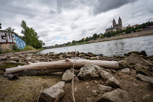 Deutlich niedriger Wasserstand in der Elbe im August 2026 - mit Magdeburger Dom;Niedrigwasser der Elbe in Magdeburg im Sommer 2026, Magdeburg Sachsen-Anhalt Deutschland Elbufer