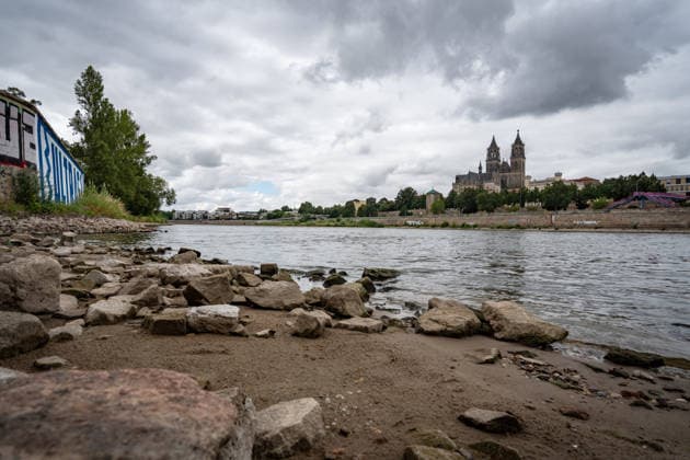 Deutlich niedriger Wasserstand in der Elbe im August 2026;Niedrigwasser der Elbe in Magdeburg im Sommer 2026, Magdeburg Sachsen-Anhalt Deutschland Elbufer