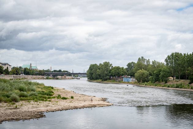 Deutlich niedriger Wasserstand in der Elbe im August 2026;Niedrigwasser der Elbe in Magdeburg im Sommer 2026, Magdeburg Sachsen-Anhalt Deutschland Elbufer