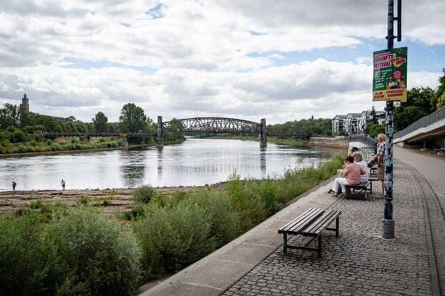 Deutlich niedriger Wasserstand in der Elbe im August 2026;Niedrigwasser der Elbe in Magdeburg im Sommer 2026, Magdeburg Sachsen-Anhalt Deutschland Elbufer