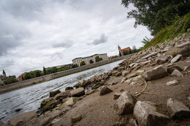 Deutlich niedriger Wasserstand in der Elbe im August 2026;Niedrigwasser der Elbe in Magdeburg im Sommer 2026, Magdeburg Sachsen-Anhalt Deutschland Elbufer