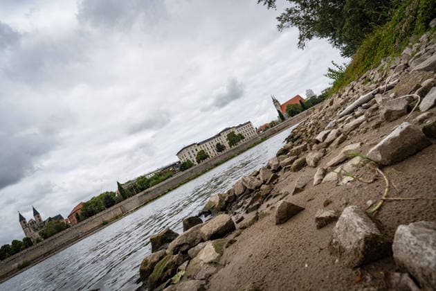Deutlich niedriger Wasserstand in der Elbe im August 2026 - mit Magdeburger Dom;Niedrigwasser der Elbe in Magdeburg im Sommer 2026, Magdeburg Sachsen-Anhalt Deutschland Elbufer