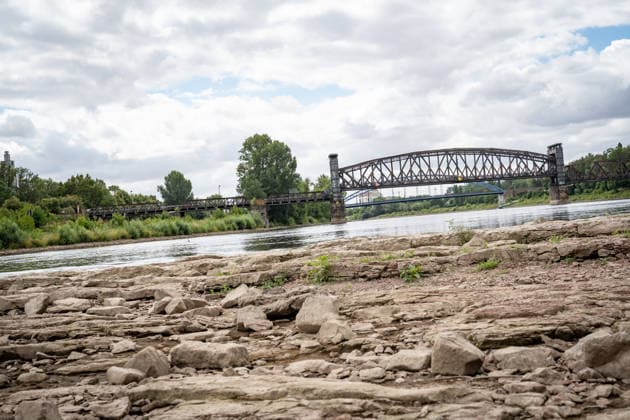 Deutlich niedriger Wasserstand in der Elbe im August 2026;Niedrigwasser der Elbe in Magdeburg im Sommer 2026, Magdeburg Sachsen-Anhalt Deutschland Elbufer