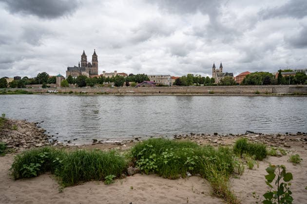 Deutlich niedriger Wasserstand in der Elbe im August 2026 - mit Magdeburger Dom;Niedrigwasser der Elbe in Magdeburg im Sommer 2026, Magdeburg Sachsen-Anhalt Deutschland Elbufer