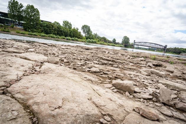 Deutlich niedriger Wasserstand in der Elbe im August 2026;Niedrigwasser der Elbe in Magdeburg im Sommer 2026, Magdeburg Sachsen-Anhalt Deutschland Elbufer