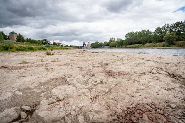 Deutlich niedriger Wasserstand in der Elbe im August 2026;Niedrigwasser der Elbe in Magdeburg im Sommer 2026, Magdeburg Sachsen-Anhalt Deutschland Elbufer