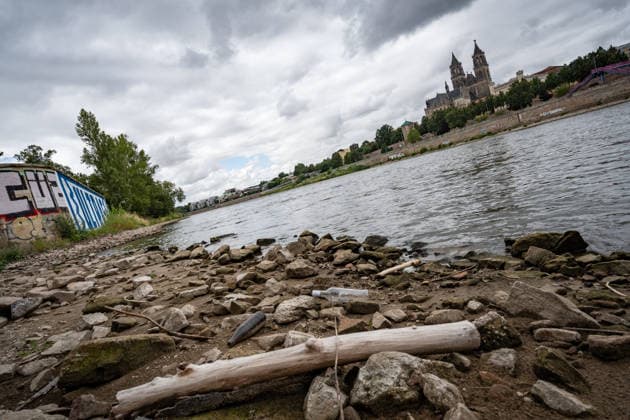 Deutlich niedriger Wasserstand in der Elbe im August 2026 - mit Magdeburger Dom;Niedrigwasser der Elbe in Magdeburg im Sommer 2026, Magdeburg Sachsen-Anhalt Deutschland Elbufer