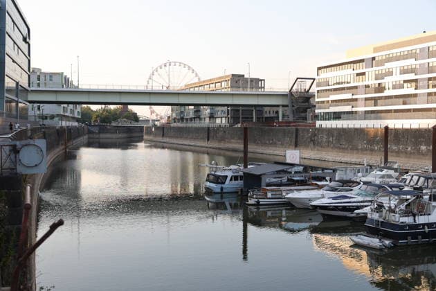 RECORD DATE NOT STATED Koeln GER, Natur, Klima, Sommer, Trockenheit, Rhein, Niedrigwasser, Koeln, Nordrhein-Westfalen, Deutschland, 06.08.2026 Der Pegelstand des Rheins in Koeln ist bedenklich niedrig und laesst die Schifffahrt nur eingeschraenkt zu GER, Natur, Klima, Sommer, Trockenheit, Rhein, Niedrigwasser, Koeln, Nordrhein-Westfalen, Deutschland, 06.08.2026 Copyright: xEibner-Pressefoto JuergenxAugstx EP_JAT