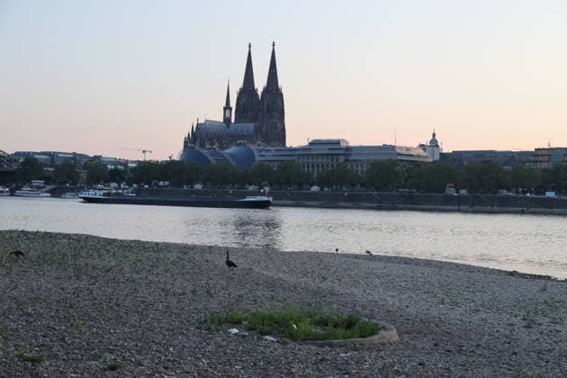 RECORD DATE NOT STATED Koeln GER, Natur, Klima, Sommer, Trockenheit, Rhein, Niedrigwasser, Koeln, Nordrhein-Westfalen, Deutschland, 06.08.2026 Der Pegelstand des Rheins in Koeln ist bedenklich niedrig und laesst die Schifffahrt nur eingeschraenkt zu GER, Natur, Klima, Sommer, Trockenheit, Rhein, Niedrigwasser, Koeln, Nordrhein-Westfalen, Deutschland, 06.08.2026 Copyright: xEibner-Pressefoto JuergenxAugstx EP_JAT