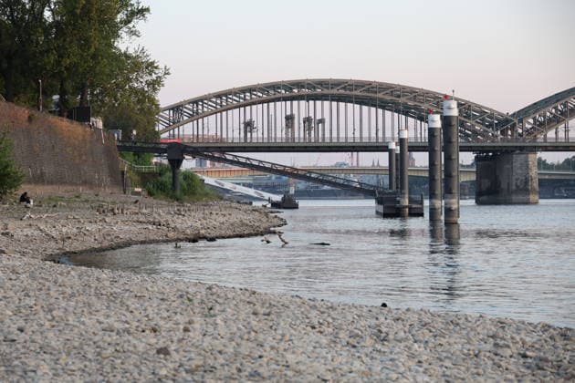 RECORD DATE NOT STATED Koeln GER, Natur, Klima, Sommer, Trockenheit, Rhein, Niedrigwasser, Koeln, Nordrhein-Westfalen, Deutschland, 06.08.2026 Der Pegelstand des Rheins in Koeln ist bedenklich niedrig und laesst die Schifffahrt nur eingeschraenkt zu GER, Natur, Klima, Sommer, Trockenheit, Rhein, Niedrigwasser, Koeln, Nordrhein-Westfalen, Deutschland, 06.08.2026 Copyright: xEibner-Pressefoto JuergenxAugstx EP_JAT