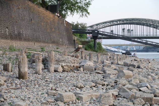 RECORD DATE NOT STATED Koeln GER, Natur, Klima, Sommer, Trockenheit, Rhein, Niedrigwasser, Koeln, Nordrhein-Westfalen, Deutschland, 06.08.2026 Der Pegelstand des Rheins in Koeln ist bedenklich niedrig und laesst die Schifffahrt nur eingeschraenkt zu GER, Natur, Klima, Sommer, Trockenheit, Rhein, Niedrigwasser, Koeln, Nordrhein-Westfalen, Deutschland, 06.08.2026 Copyright: xEibner-Pressefoto JuergenxAugstx EP_JAT