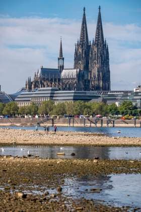 Niedrigwasser im Rhein bei Köln, Blick vom rechtsrheinischen Ufer am Rheinpark Richtung Süden, Innenstadt mit dem Dom, die Binnenschifffahrt ist stark eingeschränkt, nur wenige Schiffe fahren, dann mit stark reduzierter Ladung, am Tag der Aufnahme war es bis dato der tiefste je gemessener Rheinpegel in Köln, 60 cm, NRW, Deutschland Niedrigwasser Rhein K