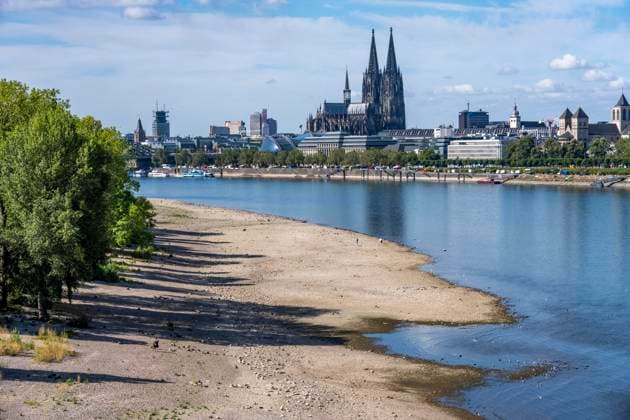 Niedrigwasser im Rhein bei Köln, Blick vom rechtsrheinischen Ufer am Rheinpark Richtung Süden, Innenstadt mit dem Dom, die Binnenschifffahrt ist stark eingeschränkt, nur wenige Schiffe fahren, dann mit stark reduzierter Ladung, am Tag der Aufnahme war es bis dato der tiefste je gemessener Rheinpegel in Köln, 60 cm, NRW, Deutschland Niedrigwasser Rhein K