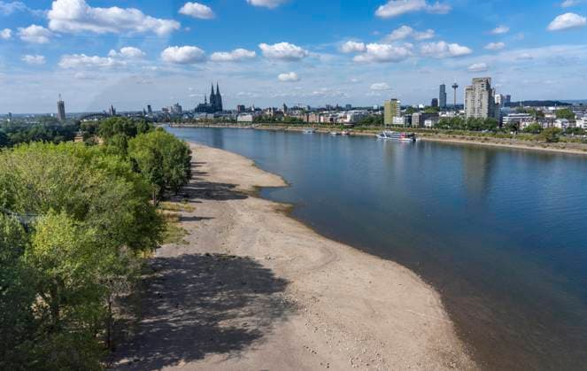 Niedrigwasser im Rhein bei Köln, Blick vom rechtsrheinischen Ufer am Rheinpark Richtung Süden, Innenstadt mit dem Dom, die Binnenschifffahrt ist stark eingeschränkt, nur wenige Schiffe fahren, dann mit stark reduzierter Ladung, am Tag der Aufnahme war es bis dato der tiefste je gemessener Rheinpegel in Köln, 60 cm, NRW, Deutschland Niedrigwasser Rhein K