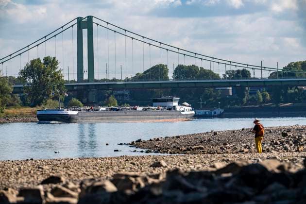 Niedrigwasser im Rhein bei Köln, Blick vom rechtsrheinischen Ufer am Rheinpark Richtung Norden, Mülheimer Rheinbrücke, die Binnenschifffahrt ist stark eingeschränkt, nur wenige Schiffe fahren, dann mit stark reduzierter Ladung, am Tag der Aufnahme war es bis dato der tiefste je gemessener Rheinpegel in Köln, 60 cm, NRW, Deutschland Niedrigwasser Rhein K