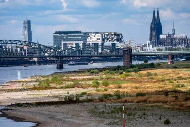 Niedrigwasser im Rhein bei Köln, Blick vom rechtsrheinischen Ufer über die Poller Wiesen, Richtung Norden, Südbrücke, Skyline der Innenstadt mit dem Dom, die Binnenschifffahrt ist stark eingeschränkt, nur wenige Schiffe fahren, dann mit stark reduzierter Ladung, am Tag der Aufnahme war es bis dato der tiefste je gemessener Rheinpegel in Köln, 60 cm, NRW, Deutschland Niedrigwasser Rhein K