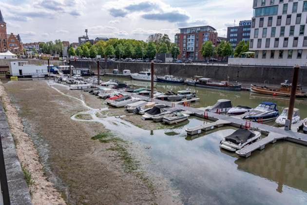 Niedrigwasser im Rhein bei Köln, der Rheinauhafen, Motorboote am Steg, liegen zum Teil auf Grund, am Tag der Aufnahme war es bis dato der tiefste je gemessener Rheinpegel in Köln, 60 cm, NRW, Deutschland Niedrigwasser Rhein K