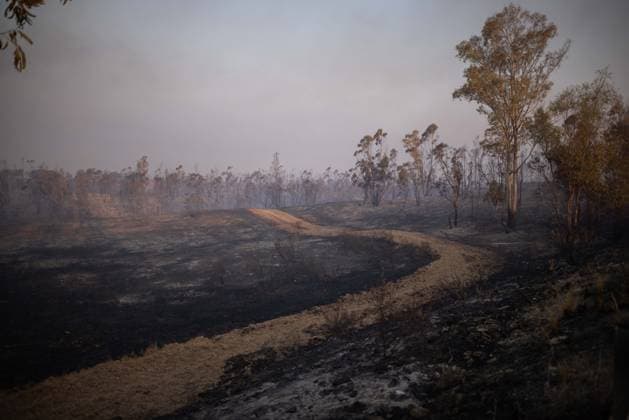 The wildfire in Niebla, Huelva, remains active, with more than 4,000 hectares affected The wildfire in Niebla, Huelva, remains active, with more than 4,000 hectares affected August 8, 2026, in Niebla, Huelva, Andalusia, Spain The wildfire that broke out this past Thursday in the Raboconejo area of Niebla, Huelva, has spread to over 4,000 hectares, and the emergency phase—Operational Level 2—remains in effect, due to constantly shifting winds that are hampering the efforts of more than 300 firefighters working to extinguish it. AUGUST 8, 2026 Niebla, Huelva, Andalusia, Spain Niebla, Huelva, Andalusia, Spain Spain Copyright: xClaraxCarrascox 7706209
