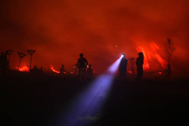 Firefighters battle forest fire in Indonesia s South Sumatra Province SOUTH SUMATRA, INDONESIA - AUGUST 8: Firefighters carry out operations to extinguish a forest fire in a wooded area of South Sumatra province, Indonesia on August 8, 2026. Efforts to control and suppress the blaze remain ongoing as emergency response teams work non-stop to contain the spread. Muhammad Fajri Anadolu South Sumatra Indonesia. Editorial use only. Please get in touch for any other usage.  Copyright: x2026xAnadoluxMuhammadxFajrix
