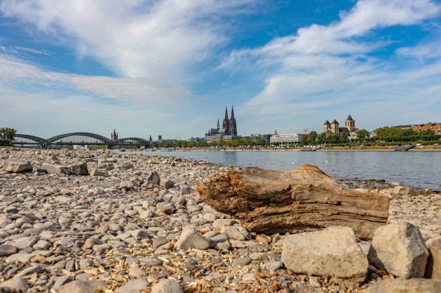 Sommer im Rheinland. Blick auf den Rhein bei Koeln (Köln) - Deutz. Der Rhein in Koeln (Köln) fuehrt (führt) Niedrigwasser aufgrund anhaltender Trockenheit. Im Hintergrund die Hohenzollernbruecke (Hohenzollernbrücke) (links) und der Koelner (Kölner) Dom (rechts). Sommer im Rheinland am 09.08.2026 in Koeln (Köln) Deutschland.