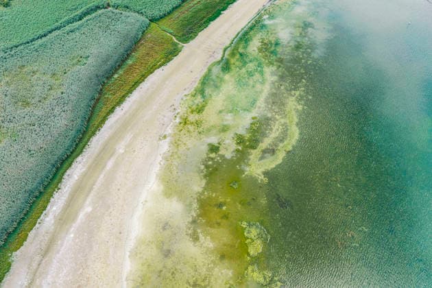 Bodenseeufer bei Moos mit wenig Wasser. Der Wasserstand ist aufgrund des heißen Sommers auf einem Tiefststand. In vielen Häfen des Untersees ist kaum noch Wasser. Moos liegt am Ufer des Bodensee auf der Halbinsel Höri. 06.08.2026, Moos, Baden-Württemberg, Deutschland