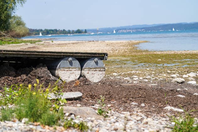 Bodensee bei Bottighofen (Kanton Thurgau), Schweiz: Freigelegter Uferbereich mit Kiesbank und niedrigem Wasserstand am Bodensee. Totale, Uferlandschaft, Niedrigwasser, Wasserstand, Trockenheit, Dürre, Klimawandel, Hitze, Wetterextreme, Umwelt, Natur, Bodenseeufer, Steg, Sedimente, Kiesstrand, Flachwasserzone, Schifffahrt, Wassersport, Segelboot, Sommer, Schweiz, Symbolbild. Copyright: xJOERANxSTEINSIEKx