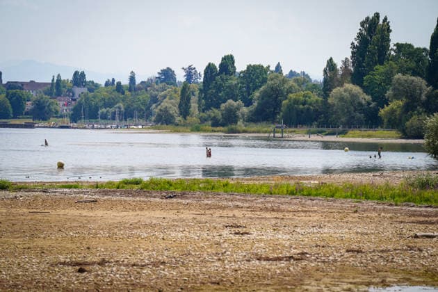 Bodensee bei Bottighofen (Kanton Thurgau), Schweiz: Freigelegter Uferbereich mit weit zurückgezogenem Wasser infolge Niedrigwasser. Totale, Bodenseeufer, Kiesbank, Flachwasserzone, niedriger Wasserstand, Niedrigwasser, Trockenheit, Dürre, Klimawandel, Hitze, Wetterextreme, Umwelt, Natur, Badestelle, Badegäste, Stand-up-Paddling, Freizeit, Wassersport, Sommer, Uferlandschaft, Bodensee, Schweiz, Symbolbild. Copyright: xJOERANxSTEINSIEKx