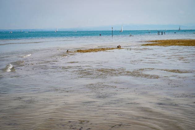 Bodensee bei Bottighofen (Kanton Thurgau), Schweiz: Weitläufige Flachwasserzone und freigelegte Kiesbänke infolge niedrigen Wasserstands am Bodensee. Totale, Niedrigwasser, Bodenseeufer, Kiesbank, Flachwasser, Trockenheit, Dürre, Klimawandel, Hitze, Wetterextreme, Umwelt, Natur, Wasserknappheit, Segelboote, Motorboote, Stand-up-Paddling, Badegäste, Wassersport, Freizeit, Sommer, Alpenpanorama, Schifffahrt, Schweiz, Symbolbild. Copyright: xJOERANxSTEINSIEKx