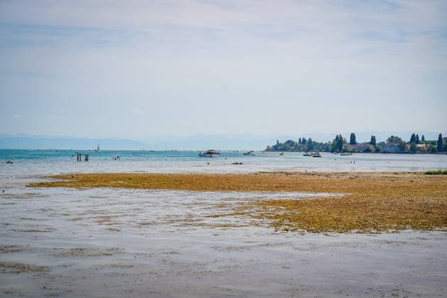 Bodensee bei Bottighofen (Kanton Thurgau), Schweiz: Ausgedehnte Flachwasser- und Uferzonen mit freigelegten Kiesbänken infolge niedrigen Wasserstands. Totale, Niedrigwasser, Bodensee, Bodenseeufer, Kiesbank, Flachwasserzone, Wasserpflanzen, Algen, Trockenheit, Dürre, Klimawandel, Hitze, Wetterextreme, Umwelt, Natur, Wasserqualität, Badegäste, Motorboote, Segelboote, Stand-up-Paddling, Wassersport, Freizeit, Sommer, Alpenpanorama, Schweiz, Symbolbild. Copyright: xJOERANxSTEINSIEKx