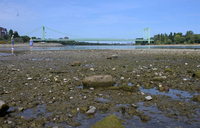 News Bilder des Tages 09.08.2026, xophax, öffentliches Leben, Köln, Cologne. Rhein. Niedrigwasser im Rhein. Schifffahrt im Rhein eingeschränkt. Südbrücke. Köln