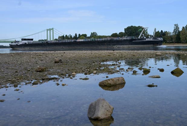 09.08.2026, xophax, öffentliches Leben, Köln, Cologne. Rhein. Niedrigwasser im Rhein. Schifffahrt im Rhein eingeschränkt. Rodenkirchen. Köln