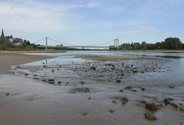 09.08.2026, xophax, öffentliches Leben, Köln, Cologne. Rhein. Niedrigwasser im Rhein. Schifffahrt im Rhein eingeschränkt. Rodenkirchen. Südbrücke. Köln