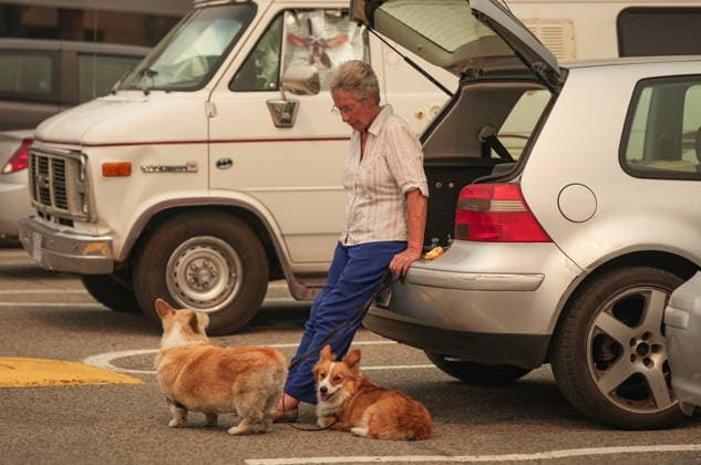 August 9, 2026, Penticton, Bc, CANADA: Pat Killen, 78, who was evacuated from her home in Summerland, B.C., due to the Bald Range wildfire and has been sleeping in her car, sits with her dogs Emma and Willow in the parking lot outside an evacuee centre, in Penticton, B.C., on Sunday, Aug. 9, 2026. The Bald Range wildfire in British Columbia s south Okanagan region has forced 20,000 people out of their homes in the Peachland and Summerland areas. Penticton CANADA - ZUMAc35_ 20260809_zaf_c35_038 Copyright: xDarrylxDyckx