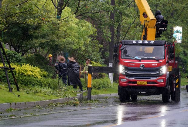 YUEQING, CHINA - AUGUST 10: Landscaping workers straighten fallen trees in the rain on August 10, 2026 in Yueqing, Zhejiang Province of China. Recovery efforts are underway following Typhoon Dolphin.  Copyright: xVCGx 111659089566