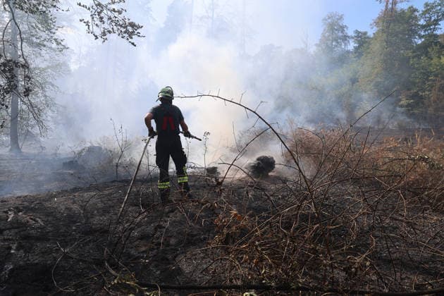 Waldbrand breitet sich bis nach Bayern aus Hubschrauber und Waldbrandflugzeug im Einsatz Polizei ermittelt wegen Brandstiftung Im Wald rund um Rodenbach im Main-Kinzig-Kreis brannte es am 10.08.2026 an mehreren Stellen, betroffen war eine Fläche von mehreren Tausend Quadratmetern. Mehrere hundert Feuerwehrleute sowie Polizeikräfte waren im Einsatz, unterstützt von zwei hessischen Polizeihubschraubern, einem bayerischen Hubschrauber mit Wasserwerfer und einem Waldbrandbeobachtungsflugzeug aus Bayern. Am Nachmittag griff das Feuer bis in Richtung der bayerischen Landesgrenze über, wo bayerische Löschzüge und Waldbrandlöschfahrzeuge ein weiteres Übergreifen verhinderten. Eine nahegelegene Wochenendhaussiedlung musste vorüberge