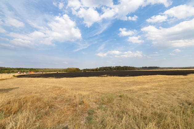 Feuerwehr kämpft bei Buschhoven gegen Flächenbrand am Waldrand Bei Buschhoven (Gemeinde Swisttal) breitet sich ein Flächenbrand aus: Ein zunächst brennendes Feld hat sich durch starken Wind auf angrenzenden Wald ausgeweitet, mehr als 10.000 Quadratmeter sind betroffen. Rund 150 Einsatzkräfte der Feuerwehr aus Swisttal, Alfter, Rheinbach und Weilerswist kämpfen gegen die Flammen, ein Polizeihubschrauber unterstützt die Löscharbeiten aus der Luft. Swisttal Buschhoven Nordrhein-Westfalen Deutschland Copyright: xMarcxJohnx